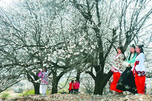 看英超直播 - 英超联赛精彩画面